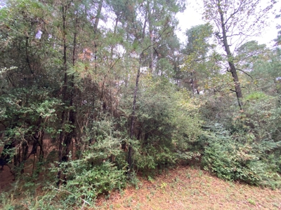 Land for Development in Center, TX - image 15