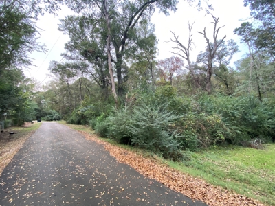 Land for Development in Center, TX - image 1