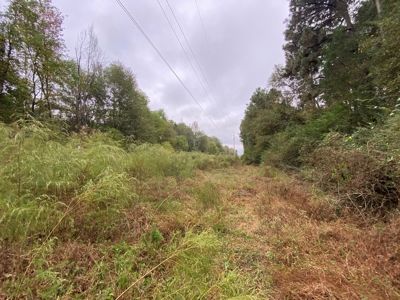 Land for Development in Center, TX - image 17