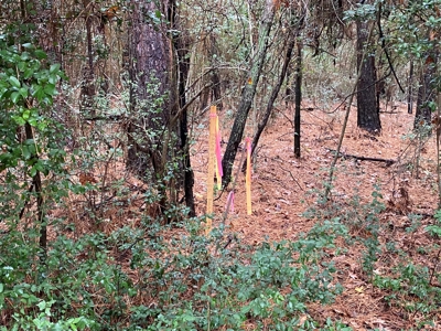 Land for Development in Center, TX - image 12