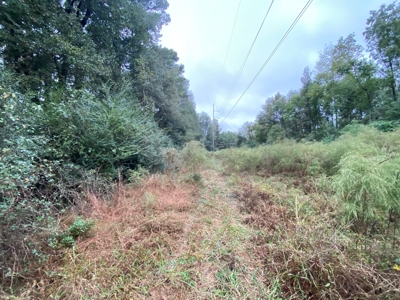 Land for Development in Center, TX - image 18