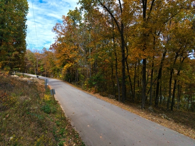 Lakefront Lot For Sale in Williford, AR - image 6