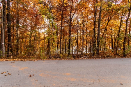 Lakefront Lot For Sale in Williford, AR - image 11