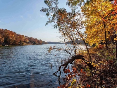 Lakefront Lot For Sale in Williford, AR - image 2