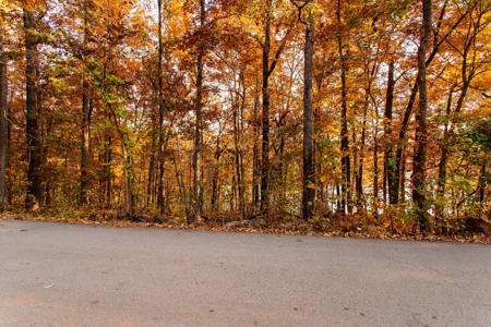 Lakefront Lot For Sale in Williford, AR - image 10