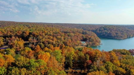 Lakefront Lot For Sale in Williford, AR - image 18