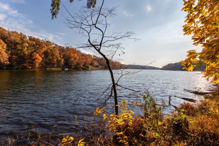 Lakefront Lot For Sale in Williford, AR - image 15