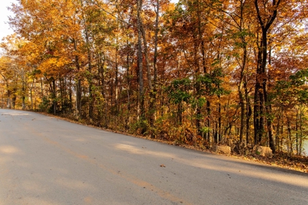 Lakefront Lot For Sale in Williford, AR - image 9