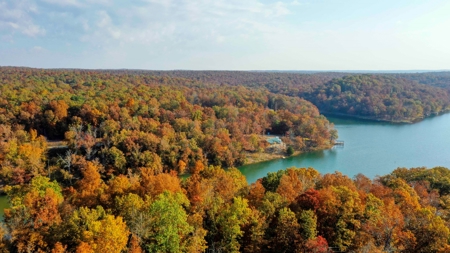 Lakefront Lot For Sale in Williford, AR - image 17