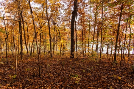 Lakefront Lot For Sale in Williford, AR - image 13