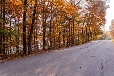 Lakefront Lot For Sale in Williford, AR - image 8
