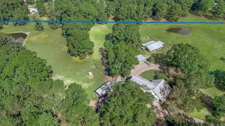 Farmhouse on 18 Acres in Walthall Co. for Sale - image 7