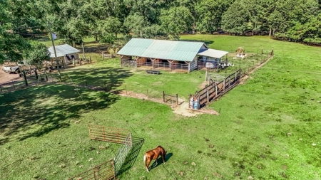 Farmhouse on 18 Acres in Walthall Co. for Sale - image 5
