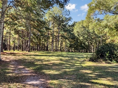 Farmhouse on 18 Acres in Walthall Co. for Sale - image 16
