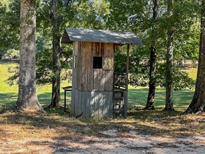 Farmhouse on 18 Acres in Walthall Co. for Sale - image 22