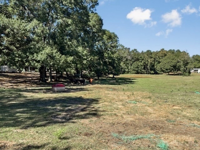 Farmhouse on 18 Acres in Walthall Co. for Sale - image 19