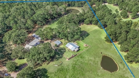 Farmhouse on 18 Acres in Walthall Co. for Sale - image 8