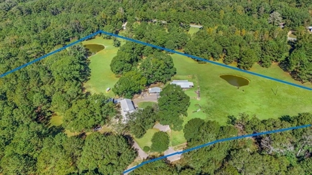 Farmhouse on 18 Acres in Walthall Co. for Sale - image 6