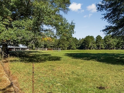 Farmhouse on 18 Acres in Walthall Co. for Sale - image 15