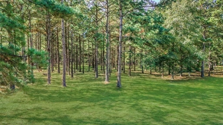 Farmhouse on 18 Acres in Walthall Co. for Sale - image 29