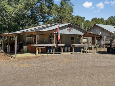 Farmhouse on 18 Acres in Walthall Co. for Sale - image 31