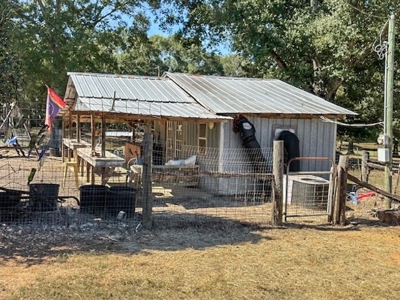 Farmhouse on 18 Acres in Walthall Co. for Sale - image 28