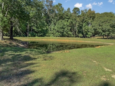 Farmhouse on 18 Acres in Walthall Co. for Sale - image 20