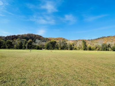 Riverfront Lot For Sale In North Central Arkansas - image 13