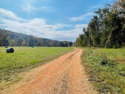 Riverfront Lot For Sale In North Central Arkansas - image 19