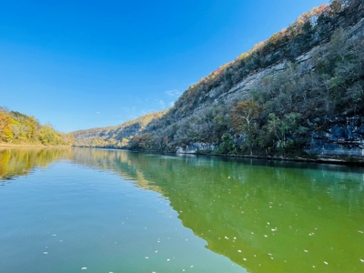 Riverfront Lot For Sale In North Central Arkansas - image 31