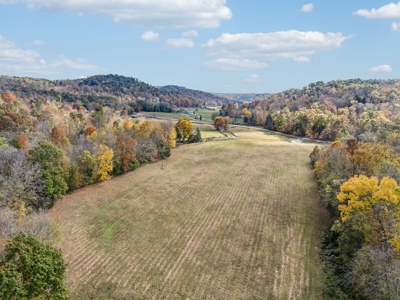 Ranch For Sale In Tennessee, Creek, Pond, Shop, Barn, Huntin - image 17