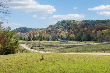 Ranch For Sale In Tennessee, Creek, Pond, Shop, Barn, Huntin - image 11