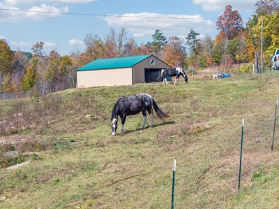 Ranch For Sale In Tennessee, Creek, Pond, Shop, Barn, Huntin - image 21