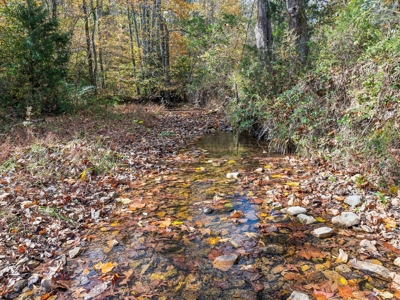 Ranch For Sale In Tennessee, Creek, Pond, Shop, Barn, Huntin - image 19