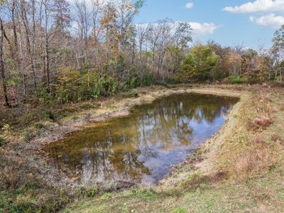 Ranch For Sale In Tennessee, Creek, Pond, Shop, Barn, Huntin - image 14