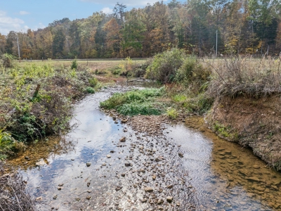 Ranch For Sale In Tennessee, Creek, Pond, Shop, Barn, Huntin - image 12