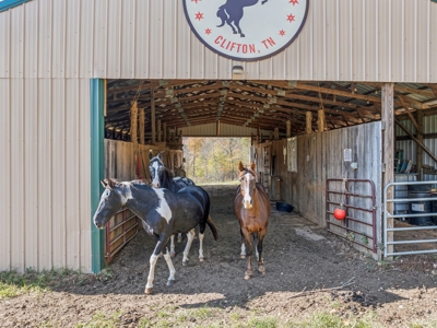 Ranch For Sale In Tennessee, Creek, Pond, Shop, Barn, Huntin - image 48