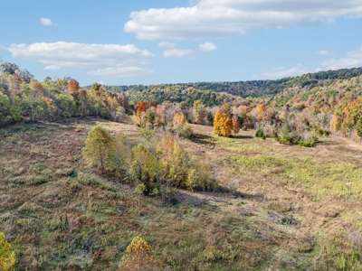 Ranch For Sale In Tennessee, Creek, Pond, Shop, Barn, Huntin - image 16
