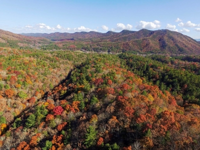 Wooded Lot For Sale In Wytheville VA - image 10