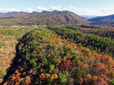 Wooded Lot For Sale In Wytheville VA - image 9