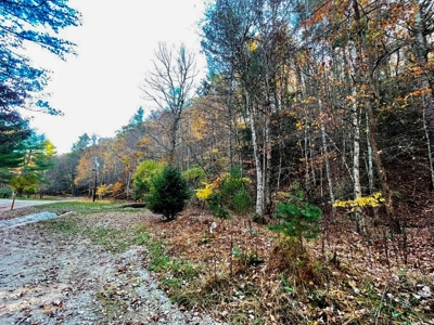 Wooded Lot For Sale In Wytheville VA - image 5