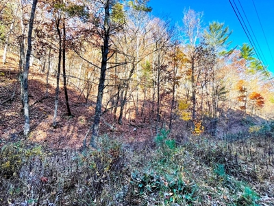 Wooded Lot For Sale In Wytheville VA - image 7