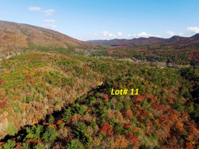 Wooded Lot For Sale In Wytheville VA - image 3