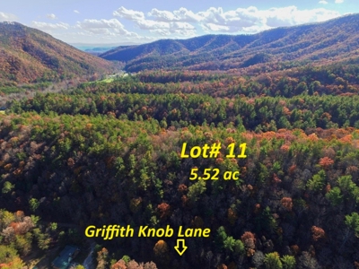 Wooded Lot For Sale In Wytheville VA - image 1