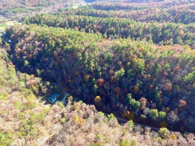 Wooded Lot For Sale In Wytheville VA - image 8