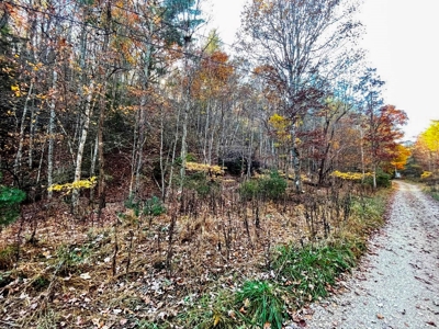 Wooded Lot For Sale In Wytheville VA - image 6