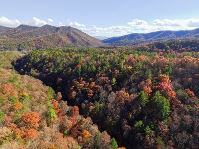 Wooded Lot For Sale In Wytheville VA - image 4