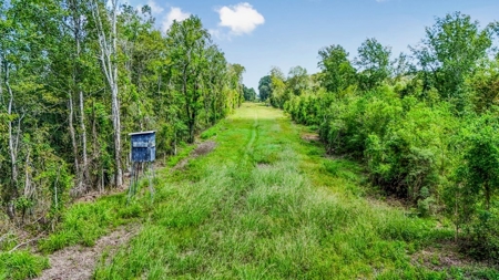 196 Acre Sportsman's Paradise Pointe Coupee Parish, LA - image 3