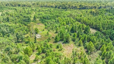 196 Acre Sportsman's Paradise Pointe Coupee Parish, LA - image 4