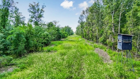 196 Acre Sportsman's Paradise Pointe Coupee Parish, LA - image 1